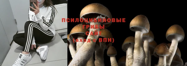 ALPHA-PVP Зеленокумск