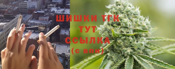 ECSTASY Инсар