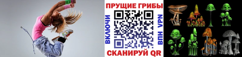 Галлюциногенные грибы Magic Shrooms  Купить где  Сарапул 
